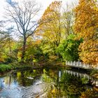 Spiegelung im Herbst 02