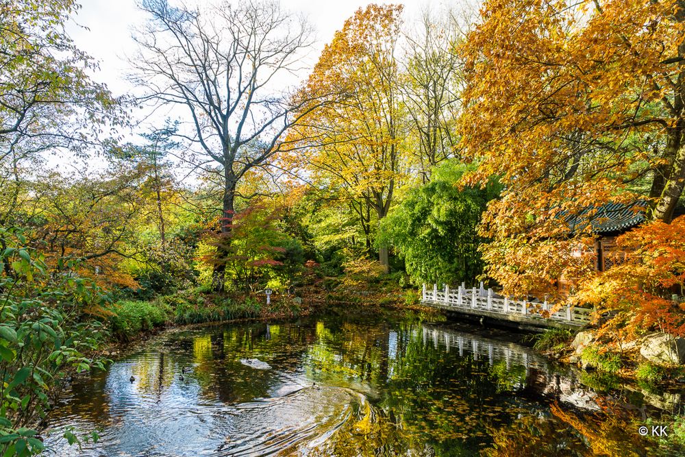 Spiegelung im Herbst 02