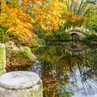 Spiegelung im Herbst 03