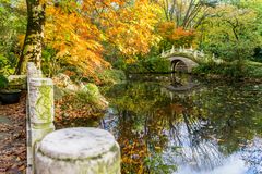 Spiegelung im Herbst 03