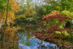 Spiegelung im Herbst 04