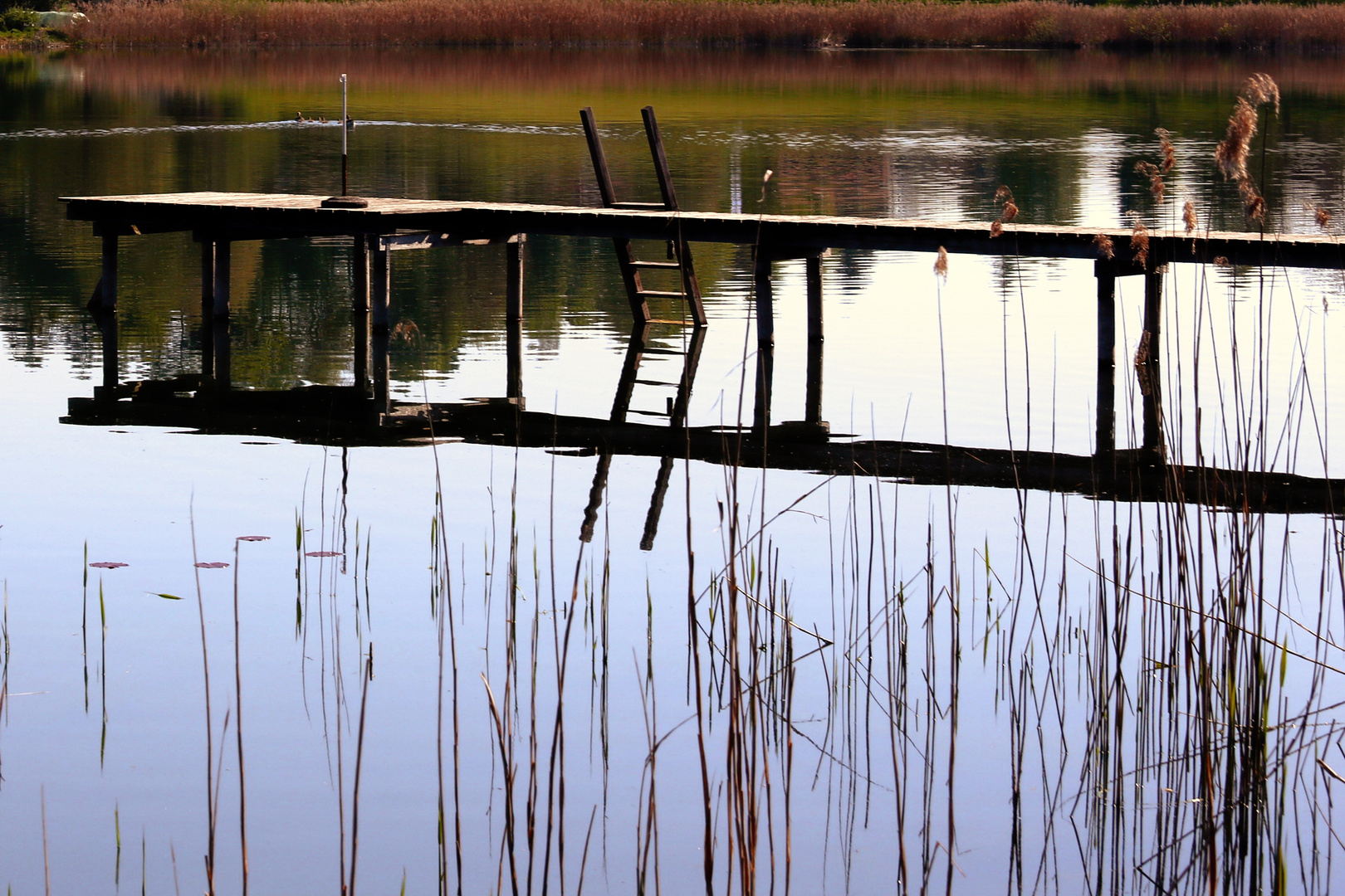 Spiegelung im Herbst 