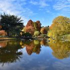 Spiegelung im Herbst