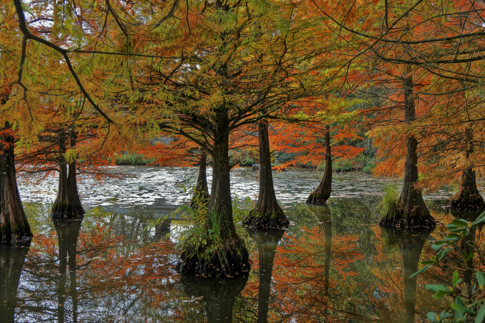 Spiegelung im Herbst ...