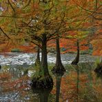 Spiegelung im Herbst ...