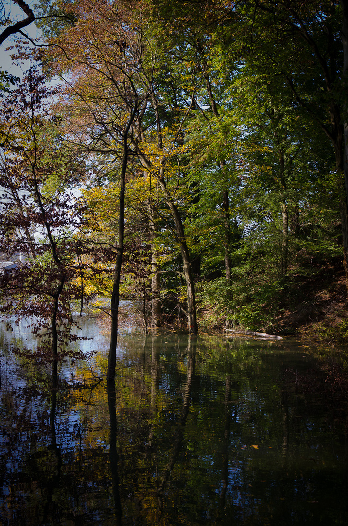 Spiegelung im Herbst