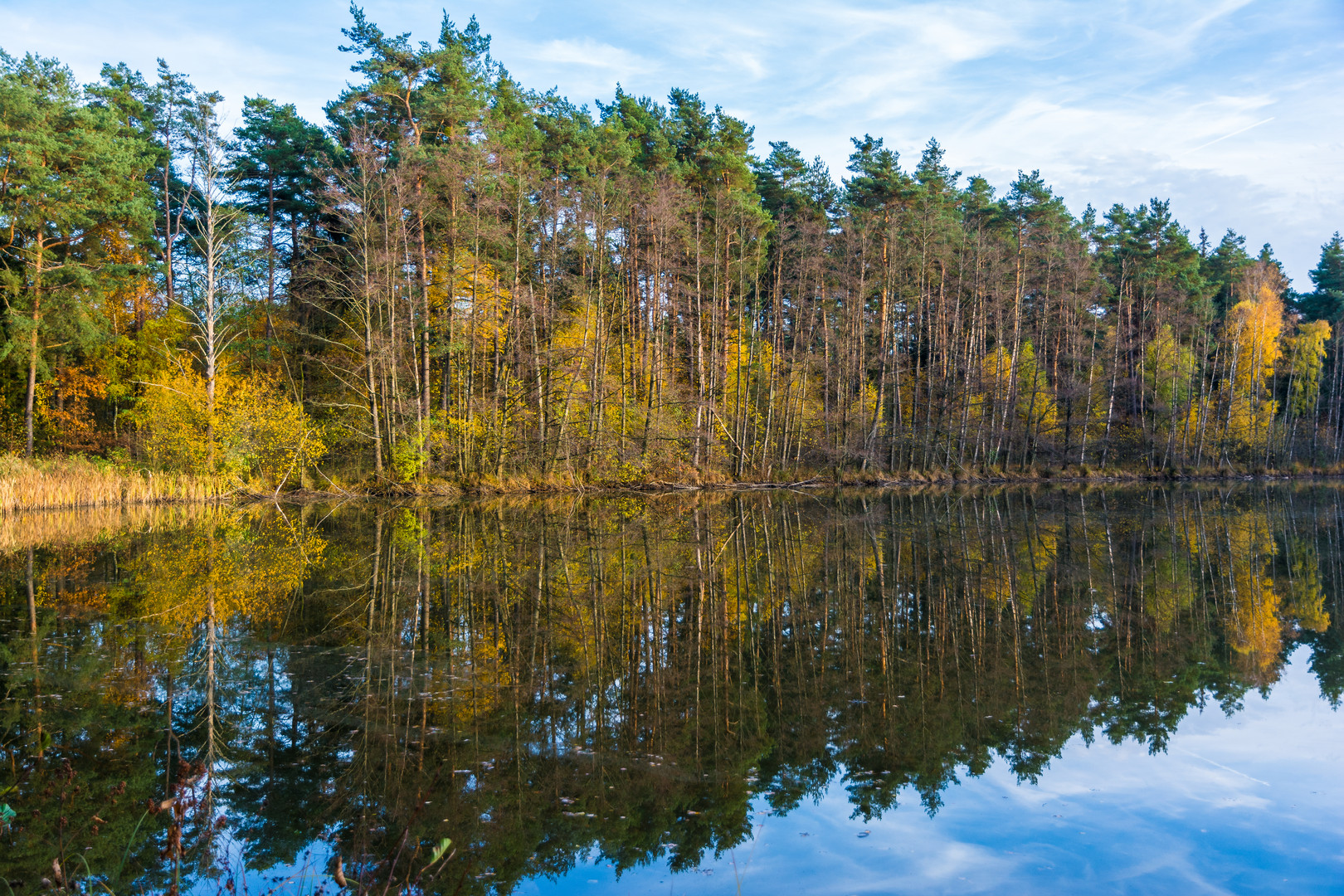 Spiegelung im Herbst