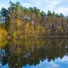 Spiegelung im Herbst