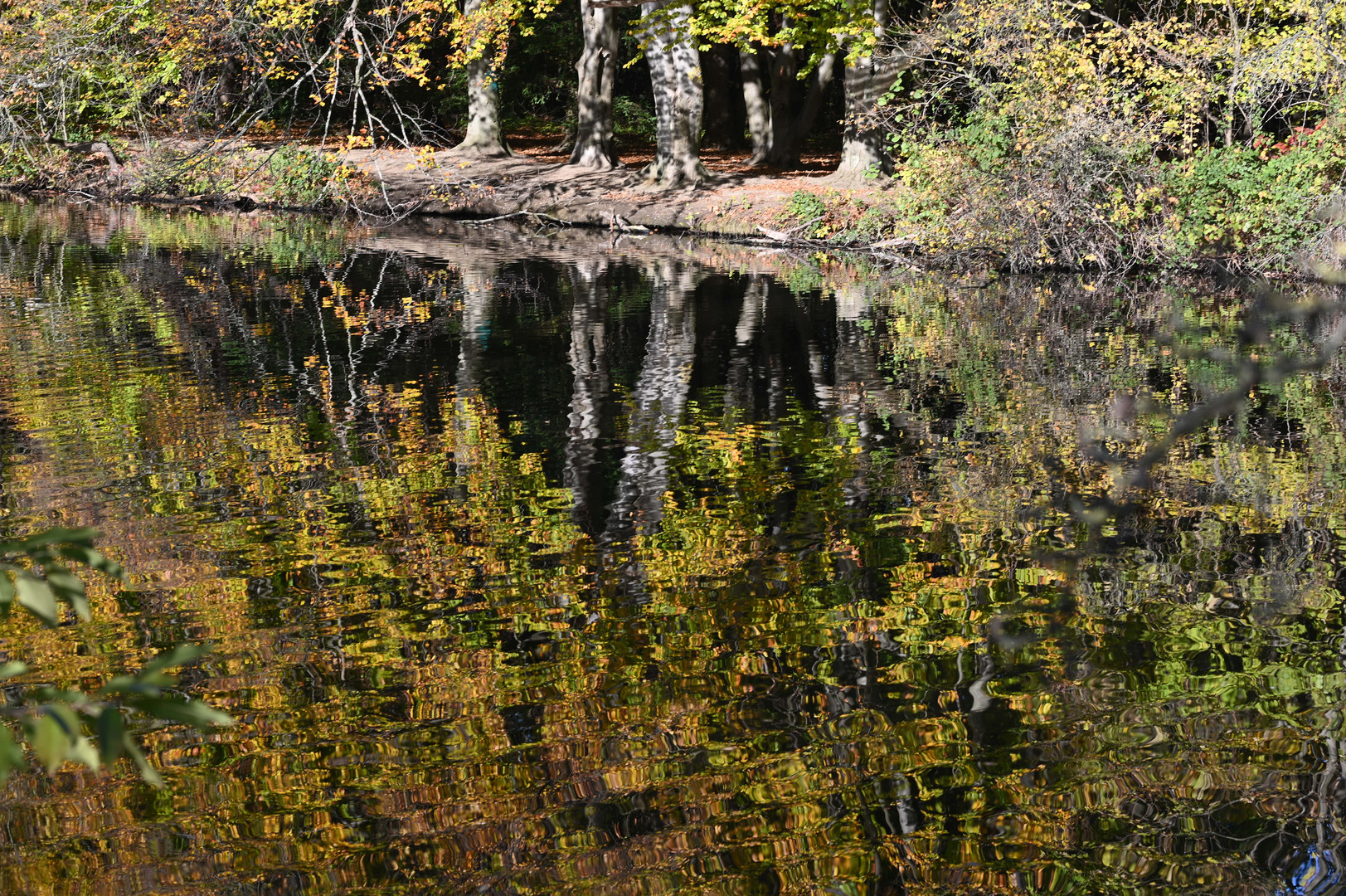 Spiegelung im Herbst