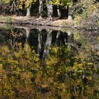 Spiegelung im Herbst