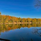 Spiegelung im Herbst