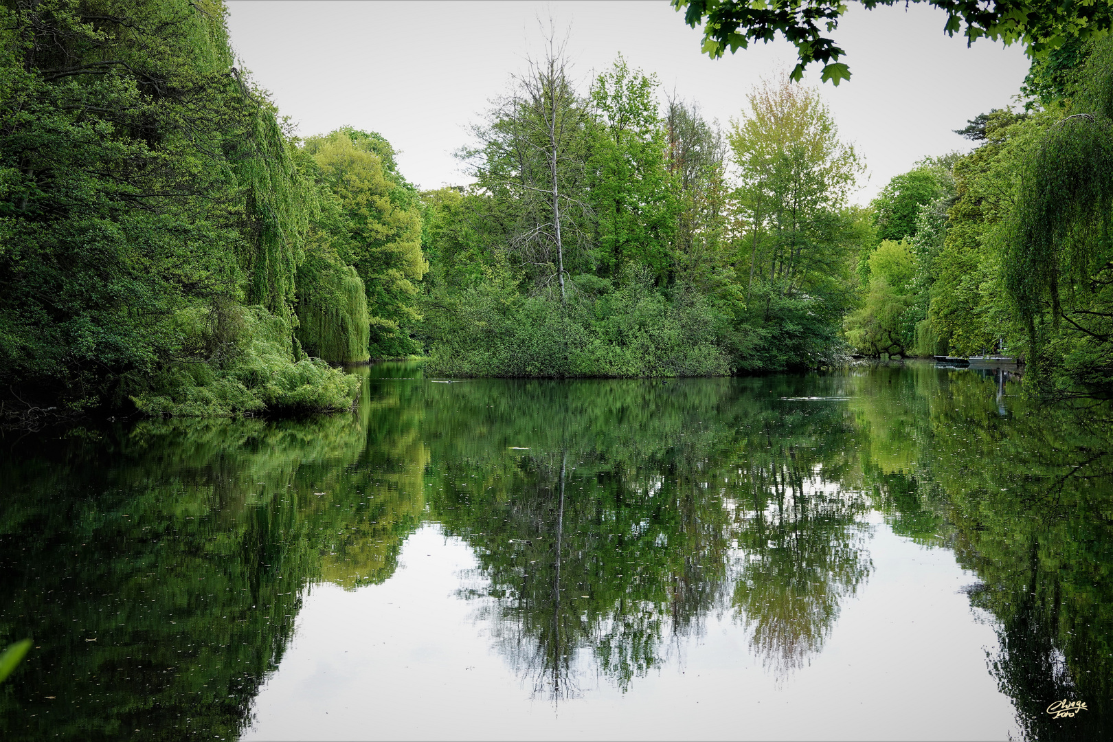 Spiegelung im Herthasee