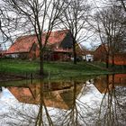 Spiegelung im Hochwasser