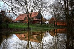 Spiegelung im Hochwasser