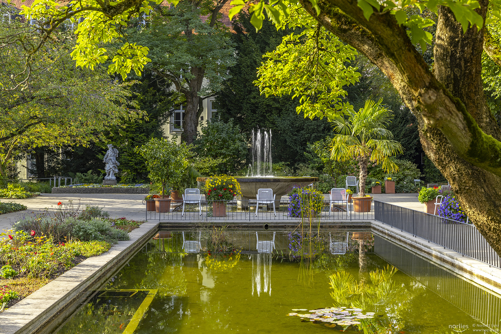 Spiegelung im Hofgarten