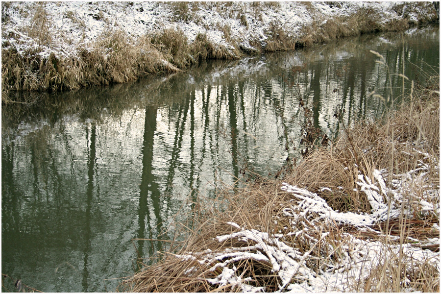 Spiegelung im Januar