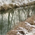 Spiegelung im Januar