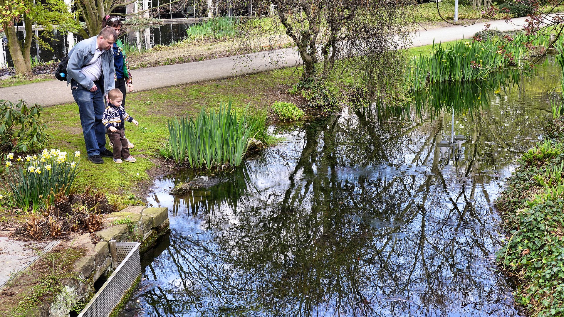 Spiegelung im Japanischen Garten Leverkusen