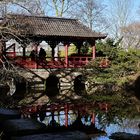 Spiegelung im Japanischer Garten in Leverkusen