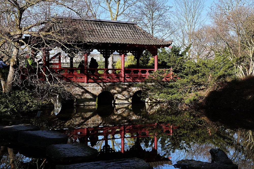 Spiegelung im Japanischer Garten in Leverkusen Foto & Bild natur