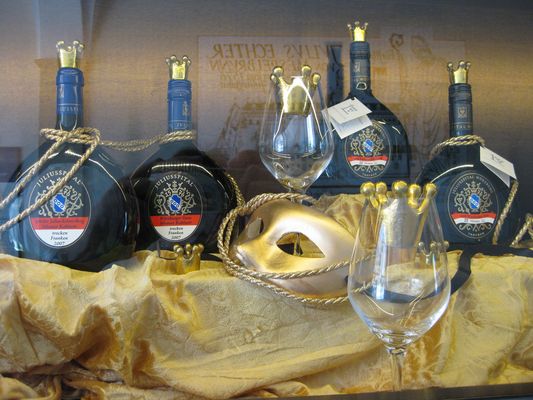 Spiegelung im Juliusspital/Würzburg