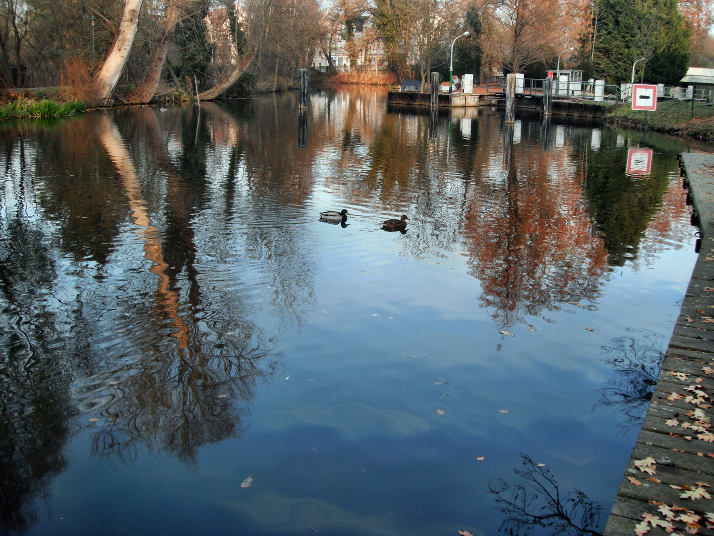 Spiegelung im Kanal