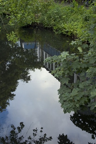 Spiegelung im Kanal