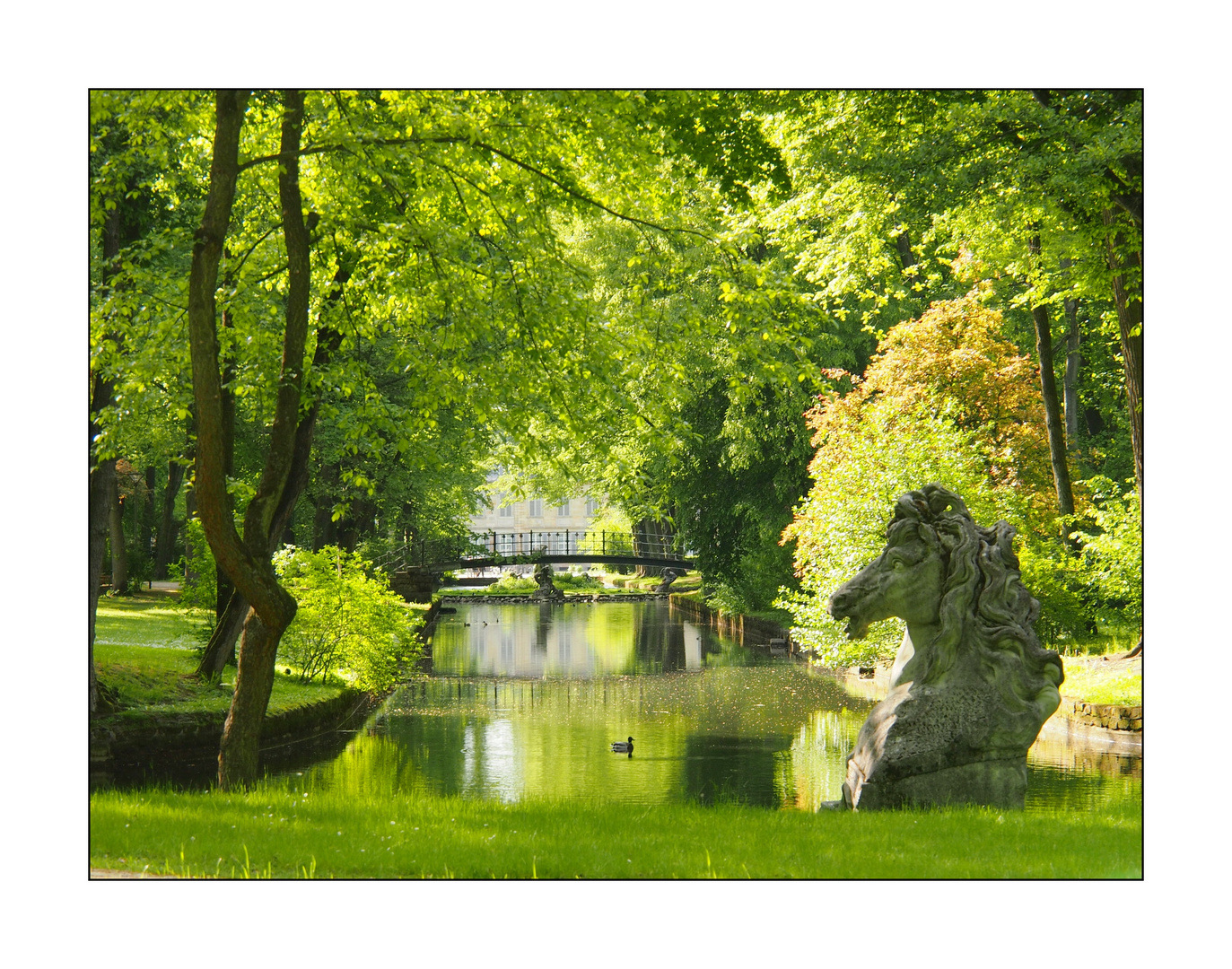 Spiegelung im Kanal