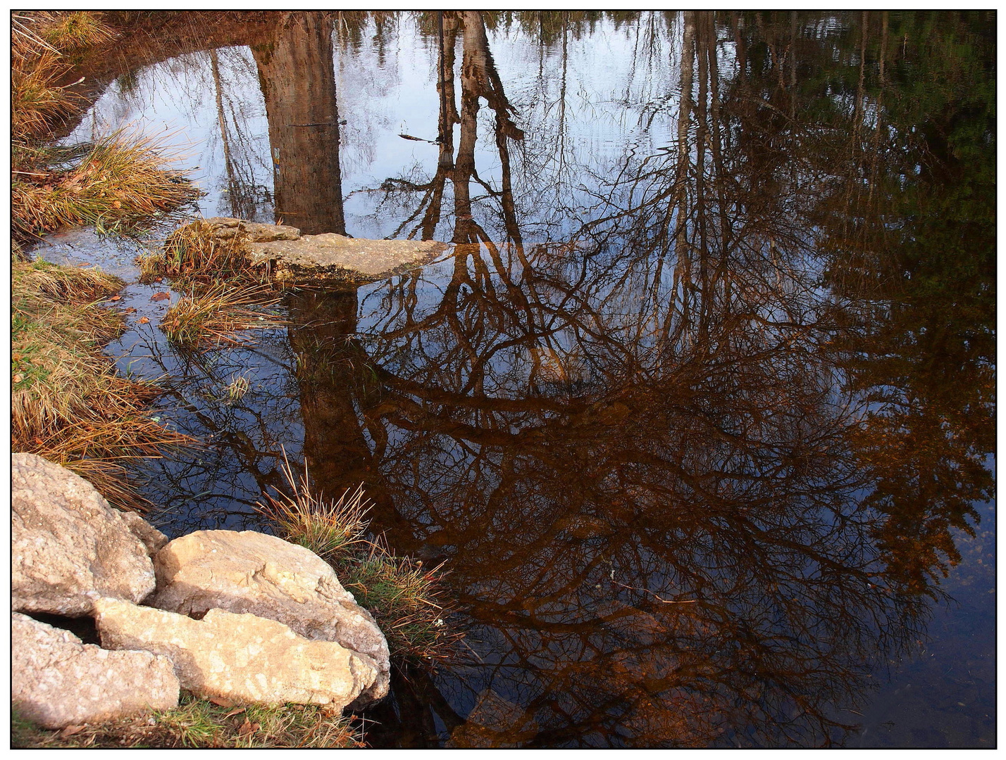 Spiegelung im Karchesweiher