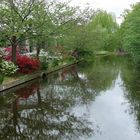 Spiegelung im Keukenhof