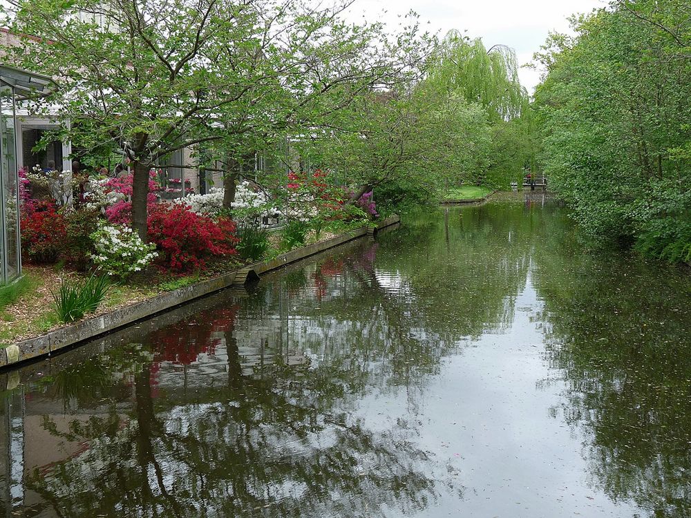 Spiegelung im Keukenhof