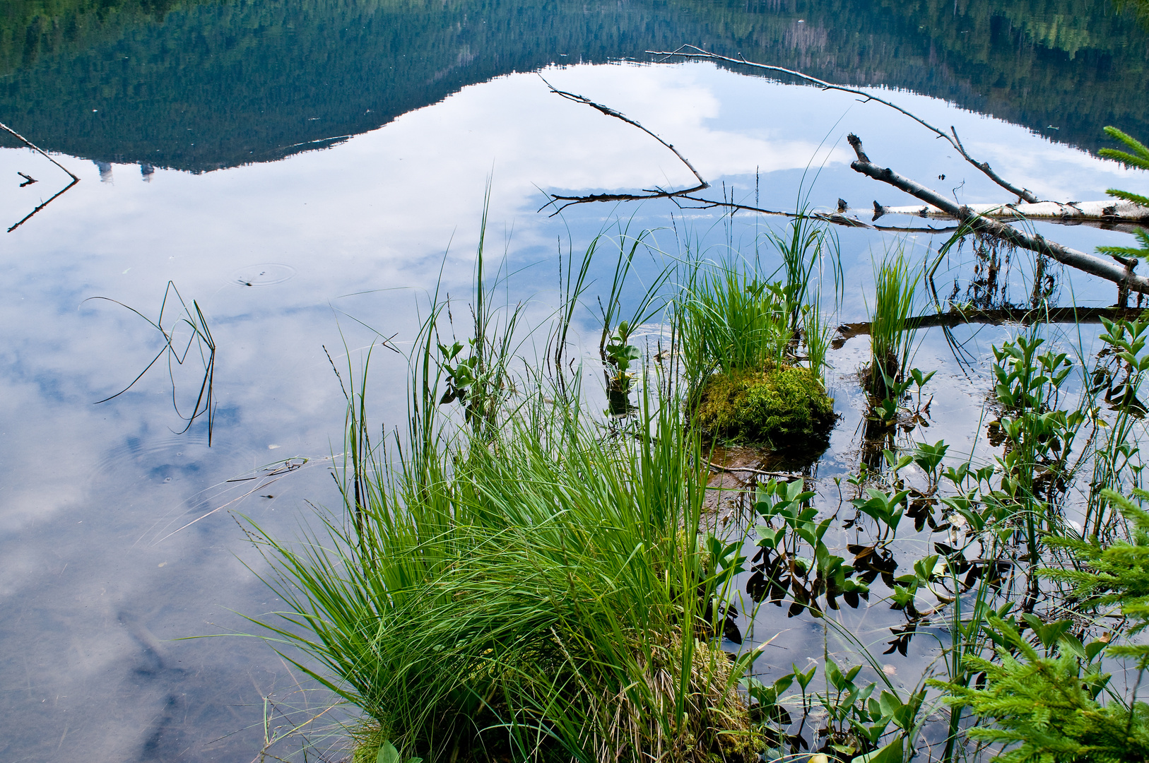 Spiegelung im Kleinen Arbersee