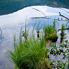 Spiegelung im Kleinen Arbersee