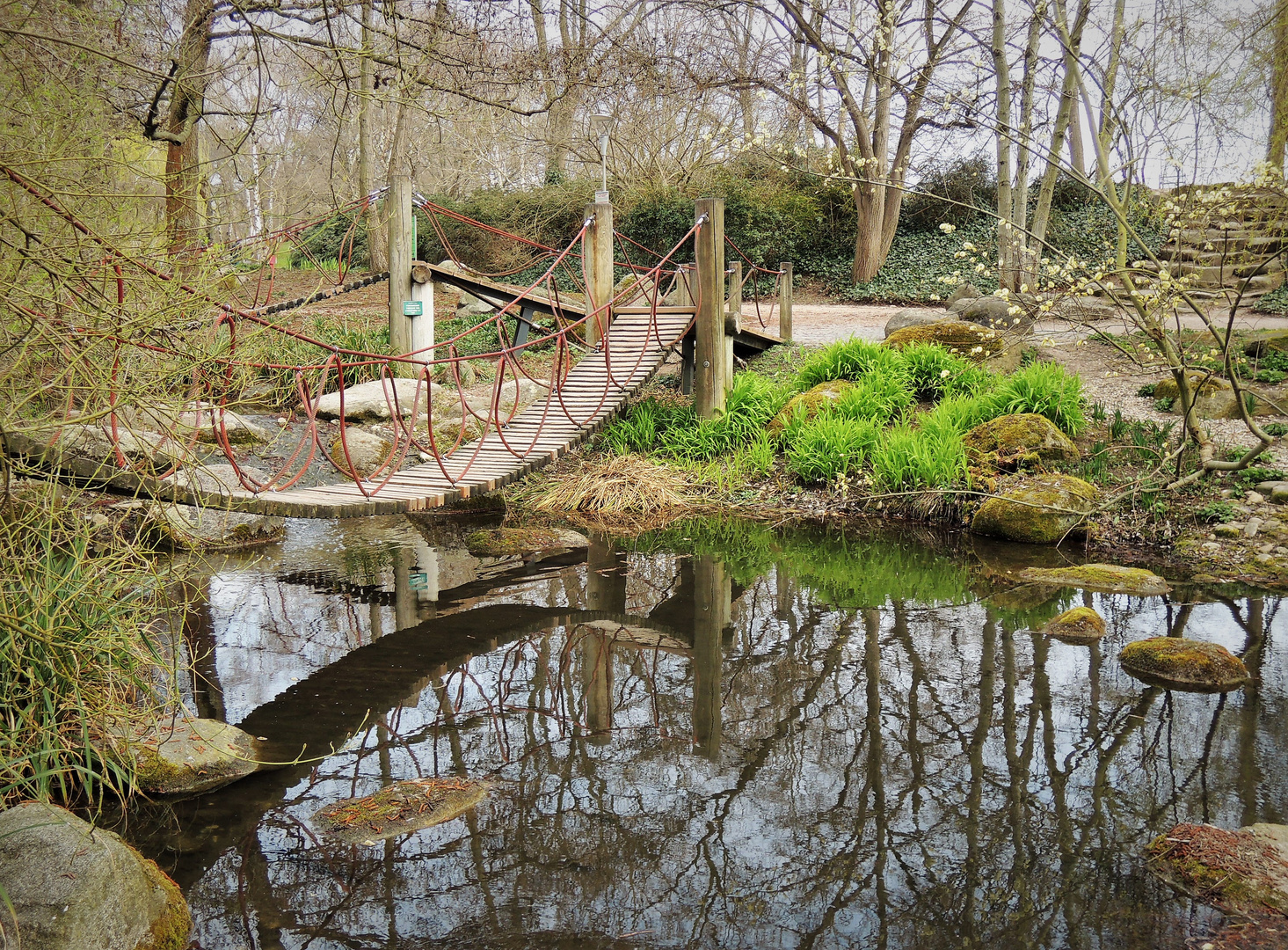 Spiegelung im kleinen See