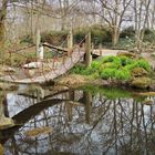 Spiegelung im kleinen See