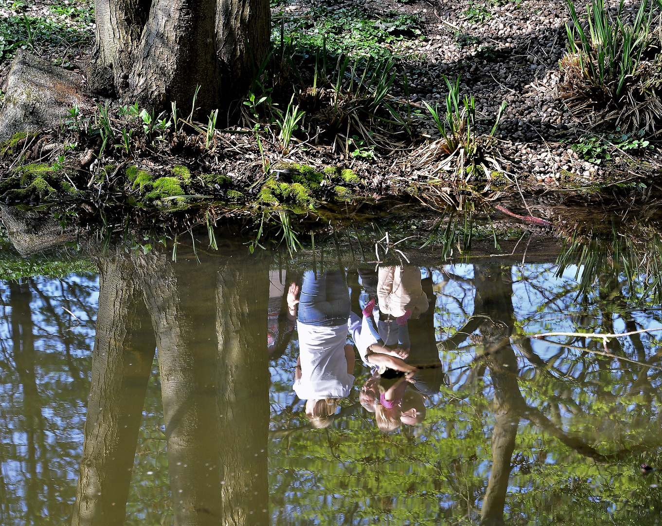 Spiegelung im kleinen See einer Parkanlage