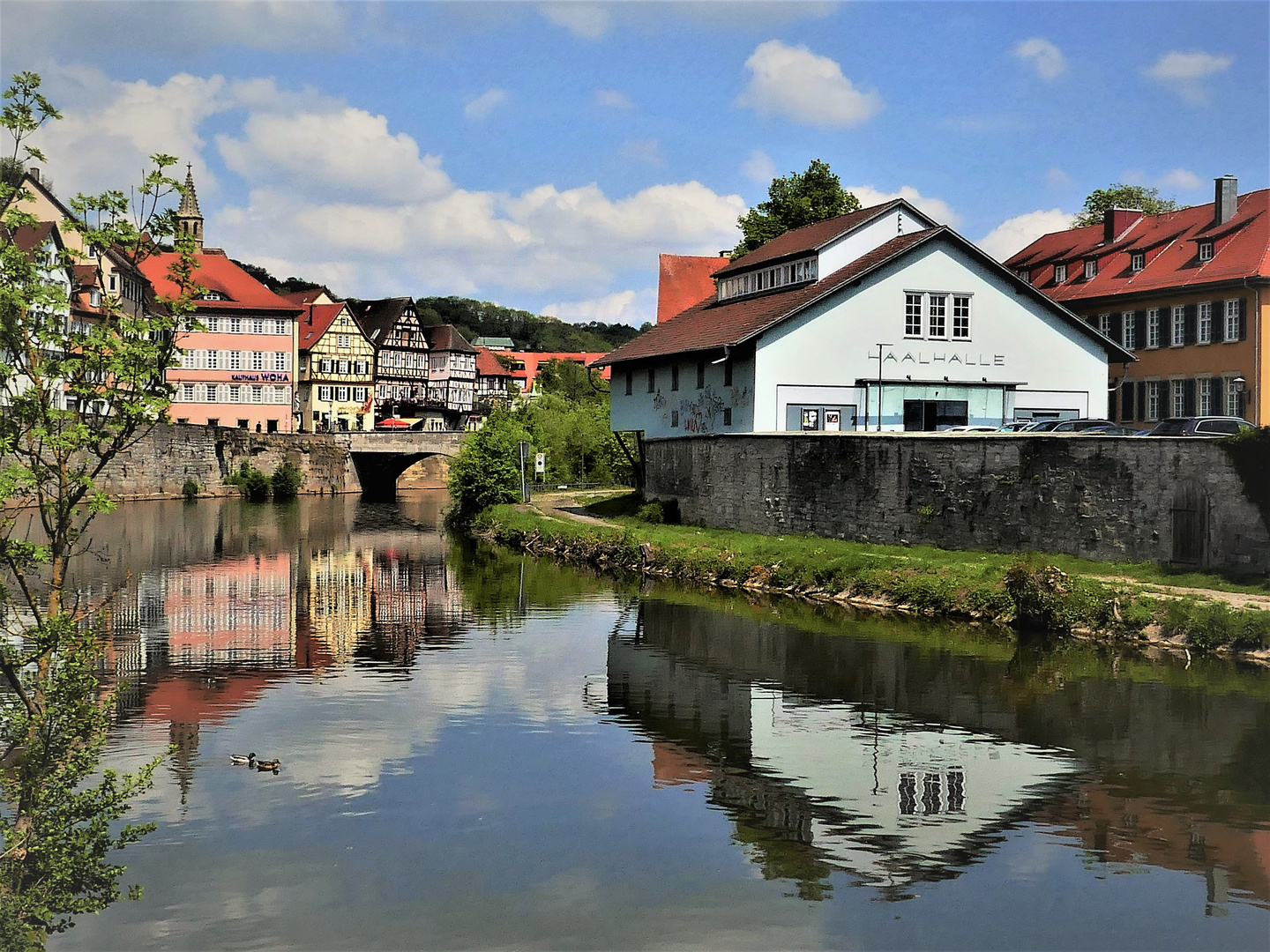 Spiegelung im Kocher 