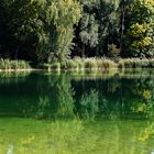 Spiegelung im Kuhsee