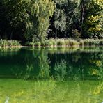 Spiegelung im Kuhsee