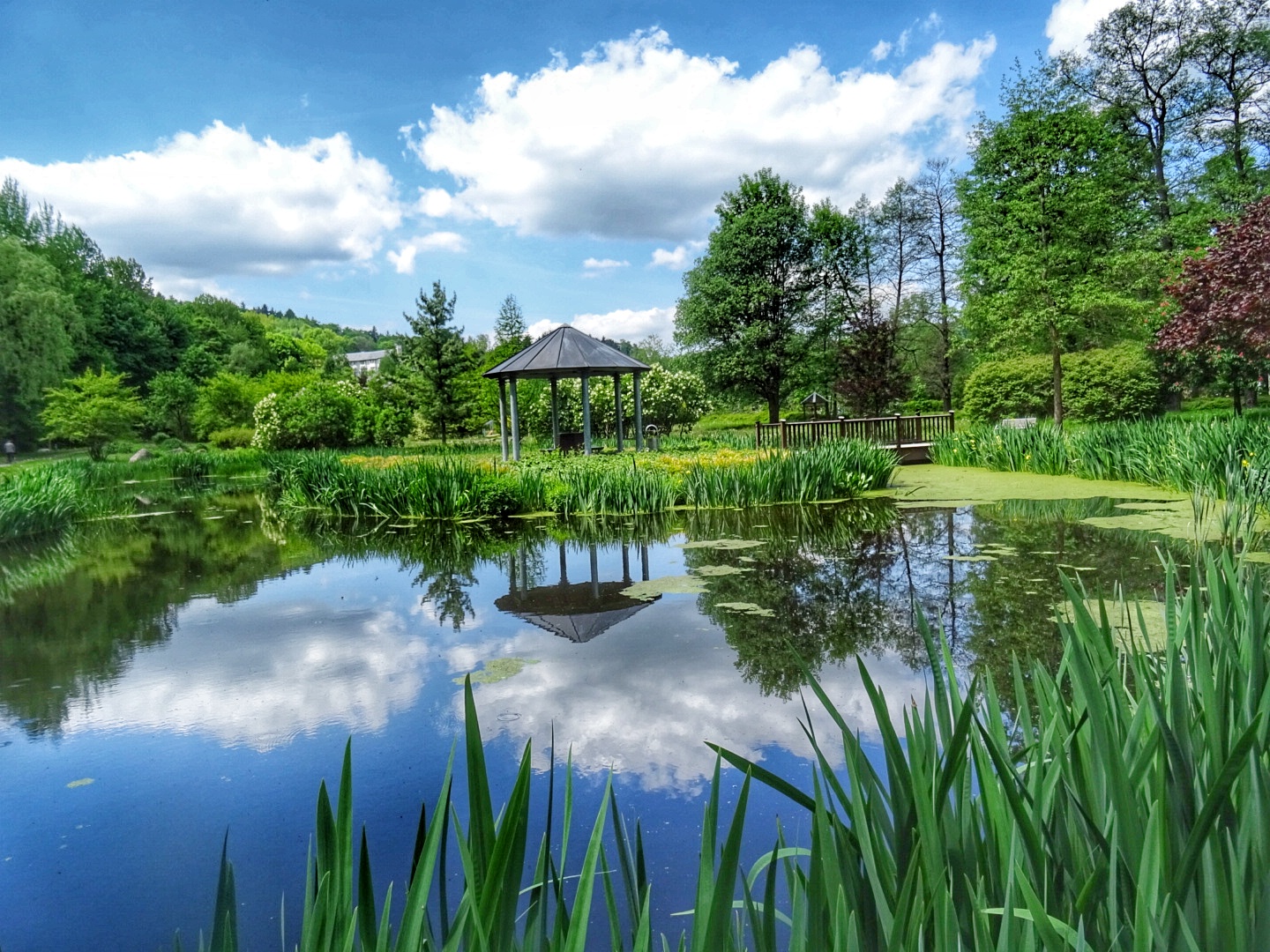 Spiegelung im Kurpark