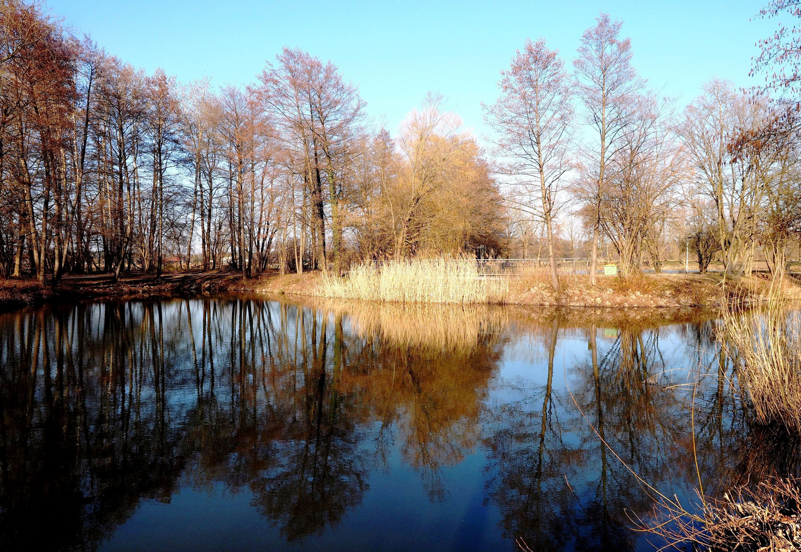 Spiegelung im Kurparksee