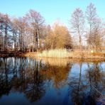 Spiegelung im Kurparksee
