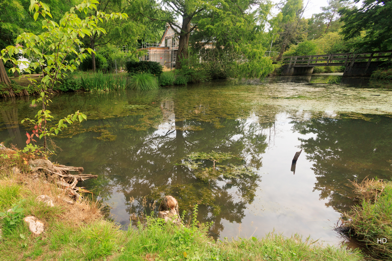 Spiegelung im Kursee