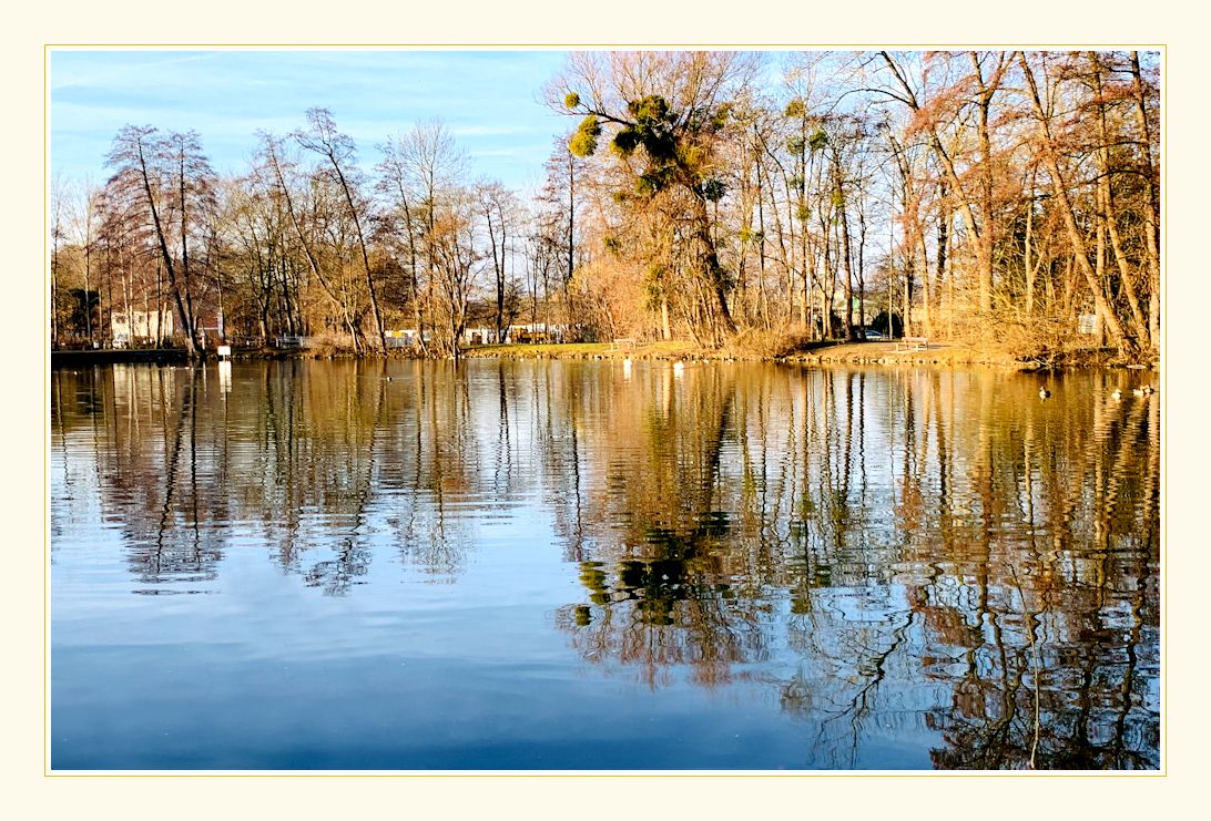 spiegelung im levinschen park ...