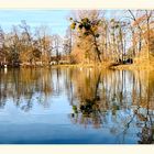 spiegelung im levinschen park ...