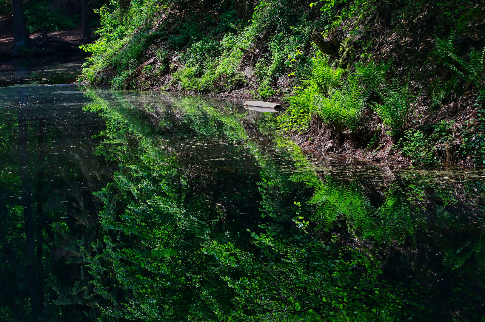 Spiegelung im Märchensee...