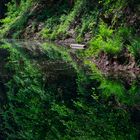 Spiegelung im Märchensee...