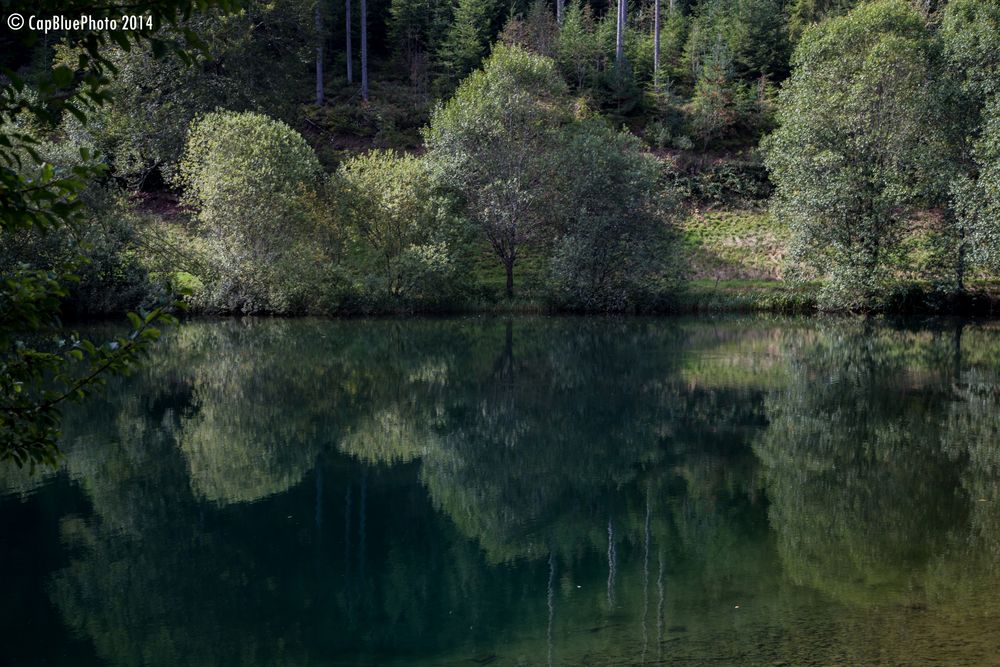 Spiegelung im Märtesweiher