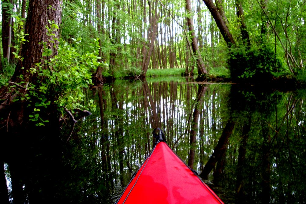 Spiegelung im Mecklenburg.