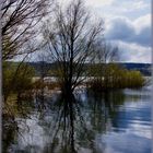 Spiegelung im Möhnesee